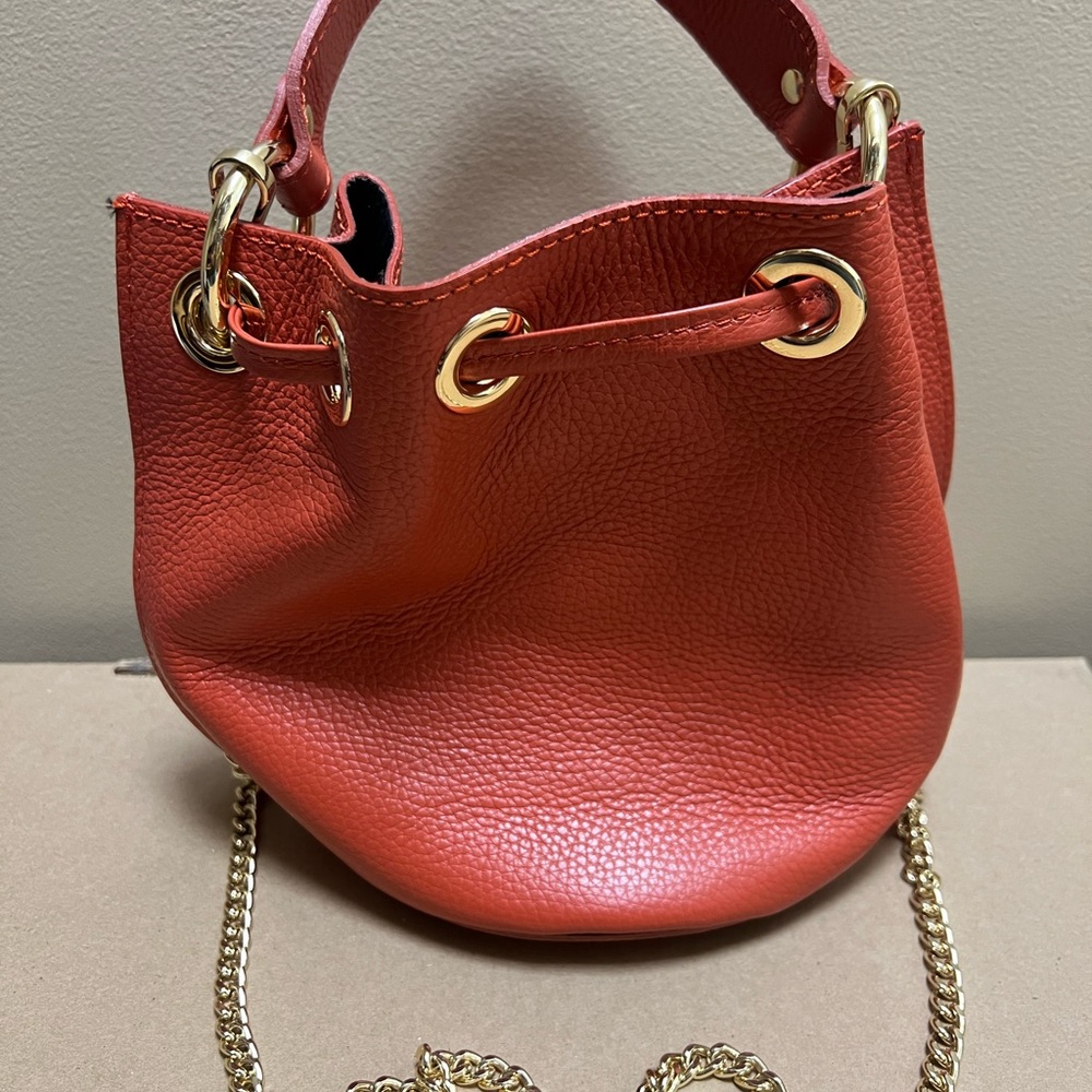 Anna Paola Coral Mini Bucket Bag with Gold Chain